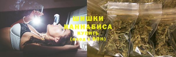 крисы Елабуга