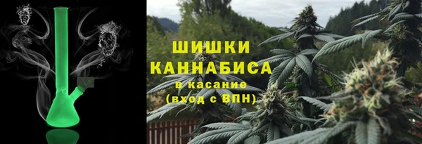 крисы Елабуга
