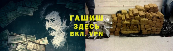 дмт Дмитров
