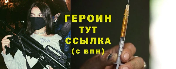 тгк Дмитриев