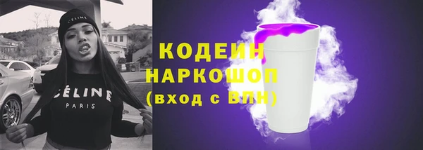 крисы Елабуга