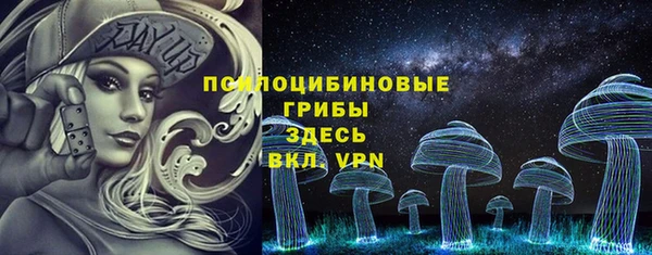 крисы Елабуга