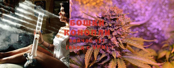 крисы Елабуга